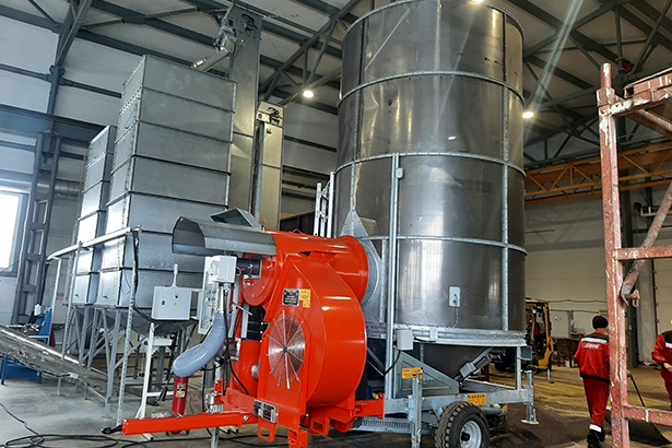 Поставки семян льна из России в Беларусь увеличились в 26 раз