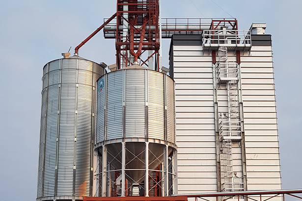 Россия сокращает поставки зерна на мировой рынок. Кому выгодно?